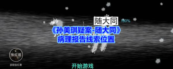 《孙美琪疑案-随大同》病理报告线索位置