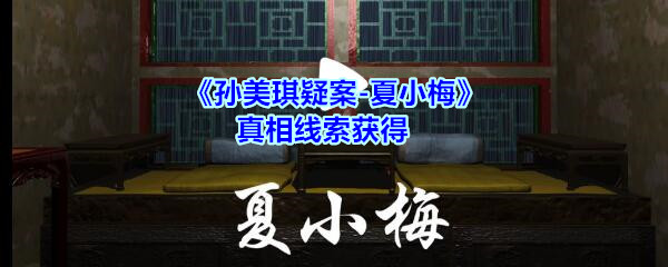 《孙美琪疑案-夏小梅》真相线索获得