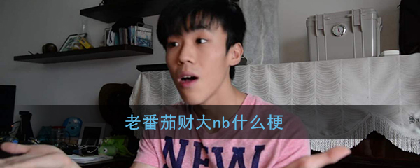 老番茄财大nb什么梗？