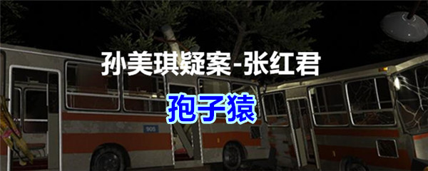 《孙美琪疑案-张红君》四级线索——孢子猿