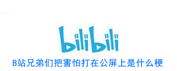 B站兄弟们把害怕打在公屏上是什么梗