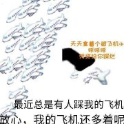 飞机呼呼呼是什么梗？