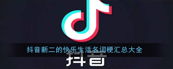 抖音新二的快乐生活名词梗汇总大全