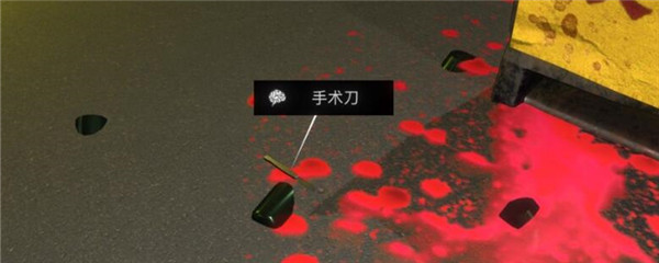 《孙美琪疑案-金凤凰》五级线索——手术刀