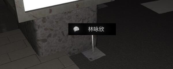 《孙美琪疑案-金凤凰》五级线索——林咏欣
