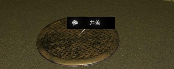《孙美琪疑案-金凤凰》四级线索——井盖