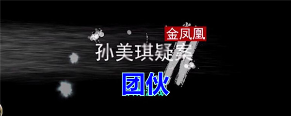 《孙美琪疑案-金凤凰》四级线索——团伙
