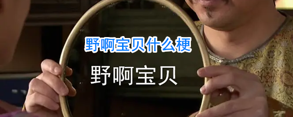 野啊宝贝什么梗