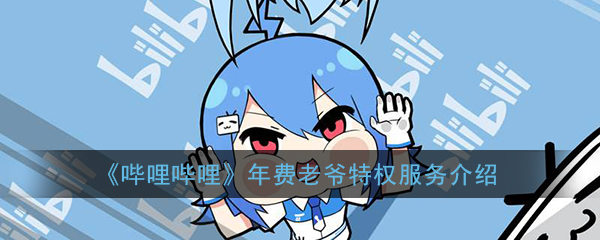 《哔哩哔哩》年费老爷特权服务介绍