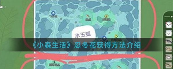 《小森生活》忍冬花获得方法介绍