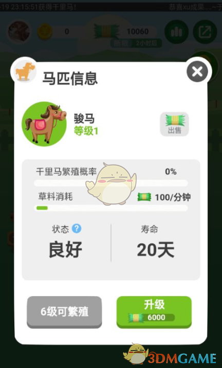 《开心马场》领养马方法