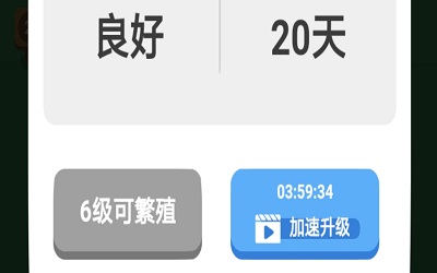 《开心马场》app红包版下载