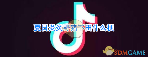 夏日炎炎野猪下田什么梗