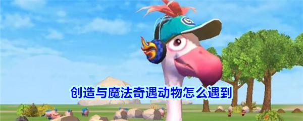 《创造与魔法》奇遇动物怎么遇到介绍