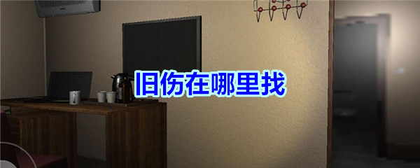 《孙美琪疑案-袁家宾馆》四级线索——旧伤