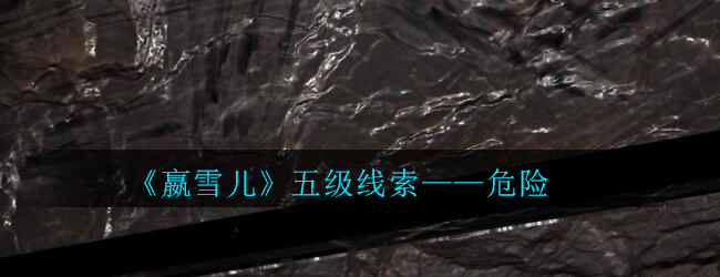 《孙美琪疑案-嬴雪儿》五级线索——危险