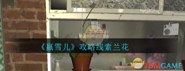 《孙美琪疑案-嬴雪儿》五级线索——兰花