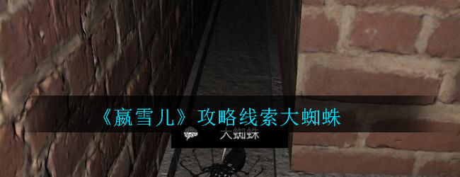 《孙美琪疑案-嬴雪儿》五级线索——大蜘蛛