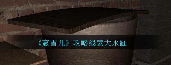《孙美琪疑案-嬴雪儿》五级线索——大水缸