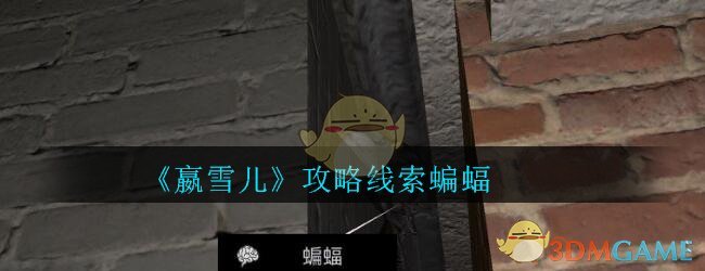 《孙美琪疑案-嬴雪儿》五级线索——蝙蝠