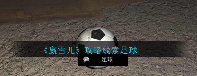 《孙美琪疑案-嬴雪儿》五级线索——足球