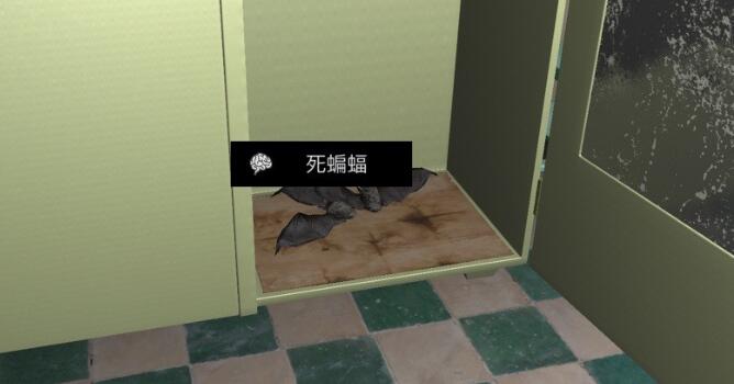 《孙美琪疑案-嬴雪儿》四级线索——死蝙蝠