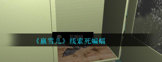 《孙美琪疑案-嬴雪儿》四级线索——死蝙蝠