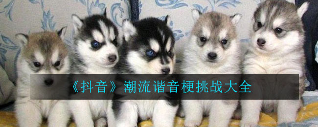 《抖音》潮流谐音梗挑战大全