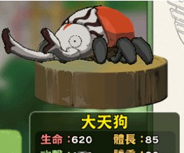 《小森生活》神奇甲虫任务完成攻略