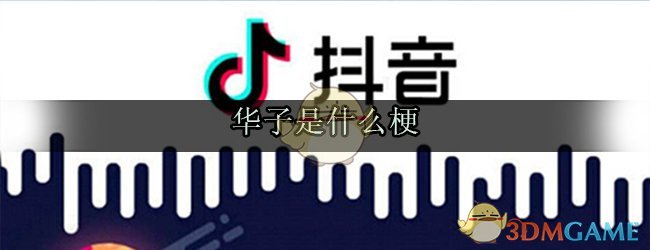 华子是什么梗