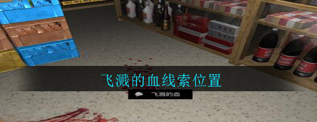 《孙美琪疑案：郎威》五级线索——飞溅的血