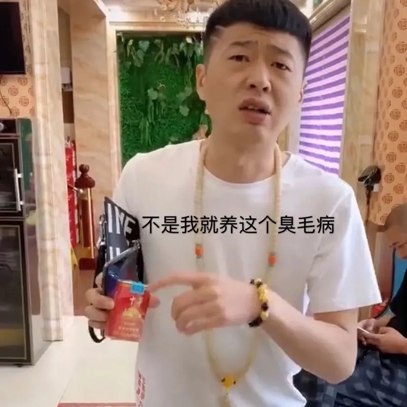 李会长街溜子抽华子表情包大全