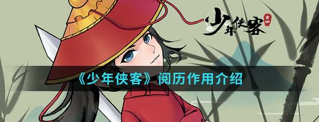 《少年侠客》阅历作用介绍