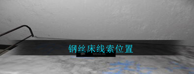 《孙美琪疑案：郎威》四级线索——钢丝床