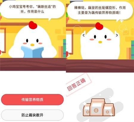 藕断丝连的丝作用是什么