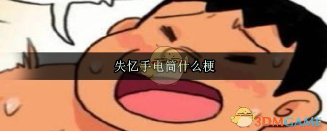 失忆手电筒什么梗