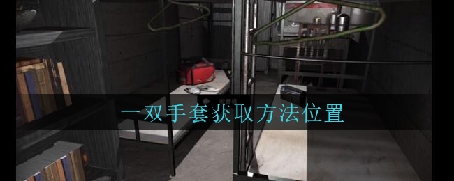 《孙美琪疑案：兰芝》三级线索——一双手套