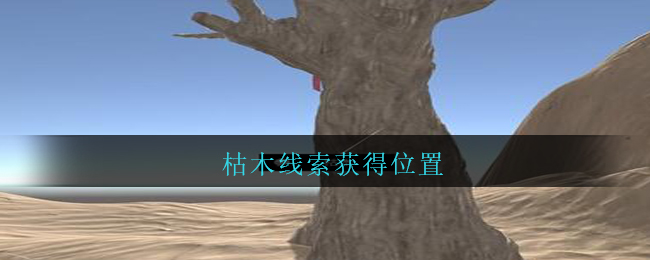 《孙美琪疑案：陈庭君》五级线索——枯木