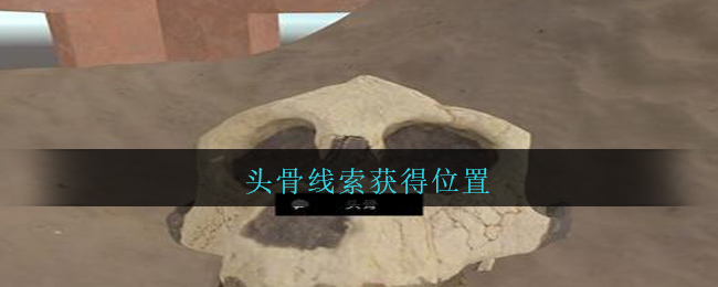《孙美琪疑案：陈庭君》五级线索——头骨
