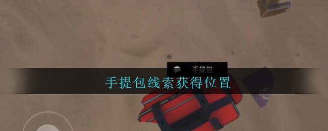 《孙美琪疑案：陈庭君》五级线索——手提包