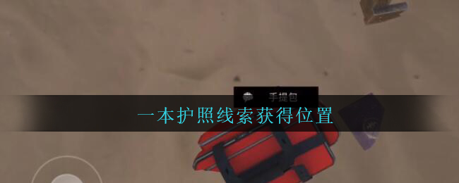 《孙美琪疑案：陈庭君》四级线索——一本护照