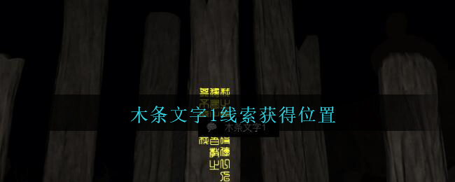 《孙美琪疑案：陈庭君》四级线索——木条文字1