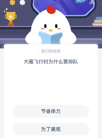 大雁飞行时为什么要排队