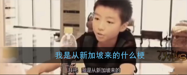 我是从新加坡来的什么梗