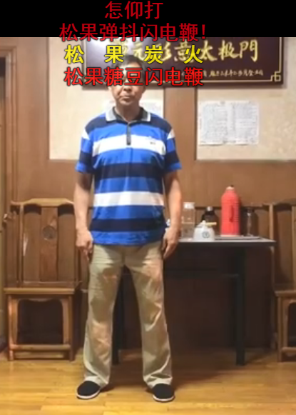 松果痰抖闪电鞭什么梗