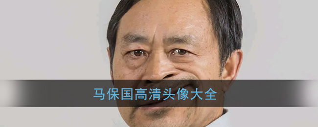 马保国高清头像大全