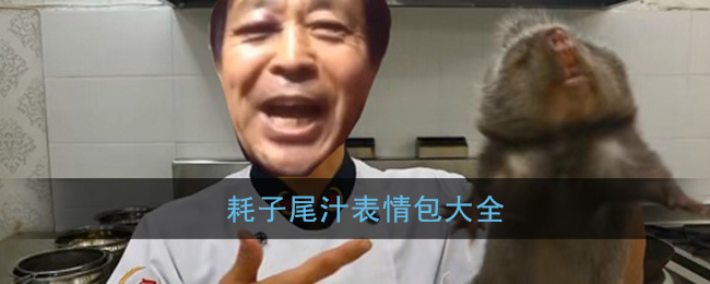 耗子尾汁表情包大全