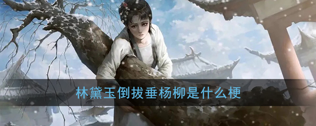 林黛玉倒拔垂杨柳是什么梗