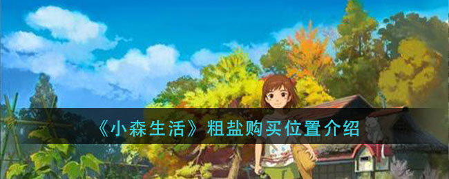 《小森生活》粗盐购买位置介绍