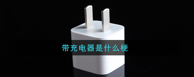 带充电器是什么梗